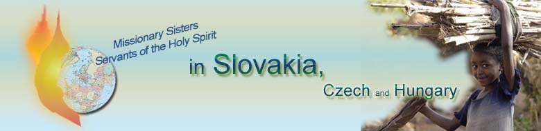 ssps in slovakia